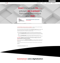 Vignette screenshot ENERJ